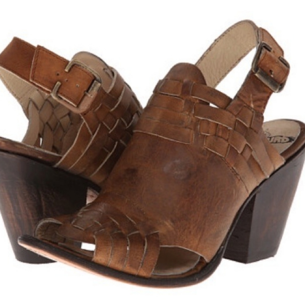 Freebird Falcon by Steven Heels
